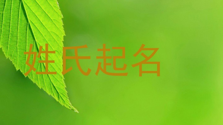 姓氏起名
