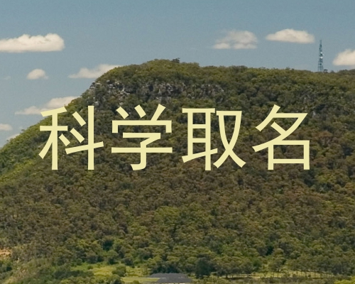 科学取名