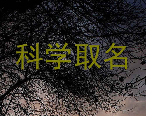 科学取名