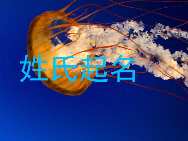 姓氏起名