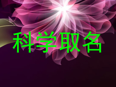 科学取名