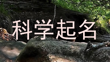 科学起名