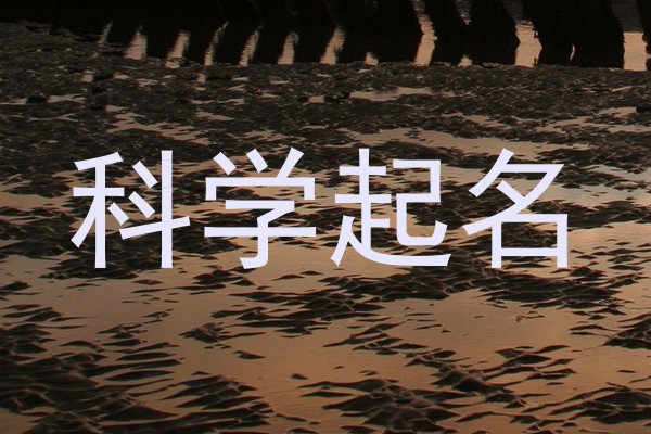 科学起名