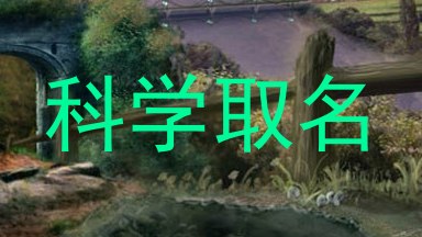科学取名