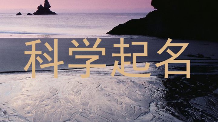 科学起名
