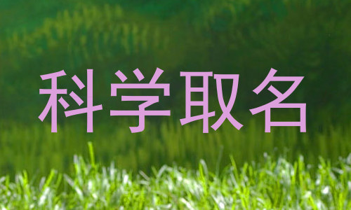 科学取名