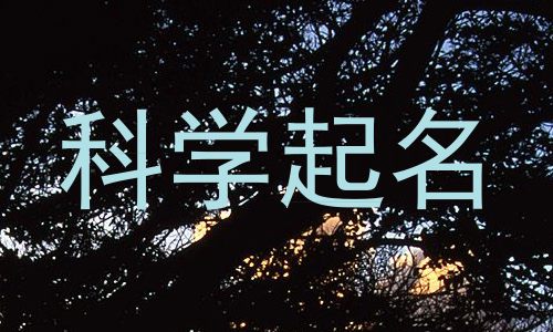 科学起名