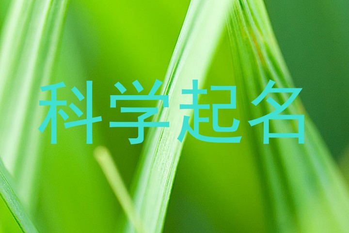 科学起名