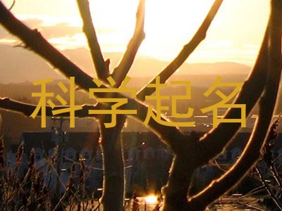 科学起名