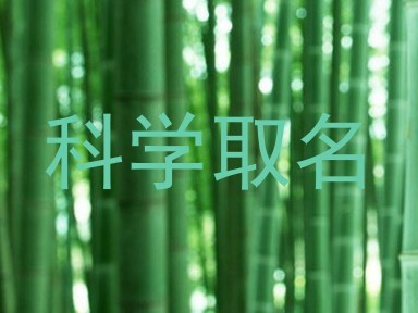科学取名