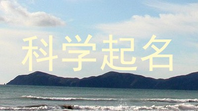 科学起名