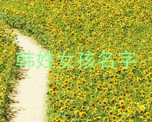 韩姓女孩名字