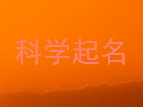 科学起名