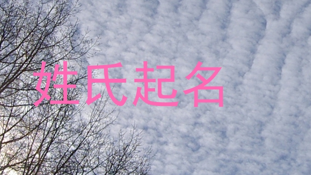 姓氏起名