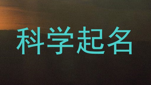 科学起名