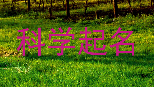 科学起名