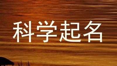 科学起名