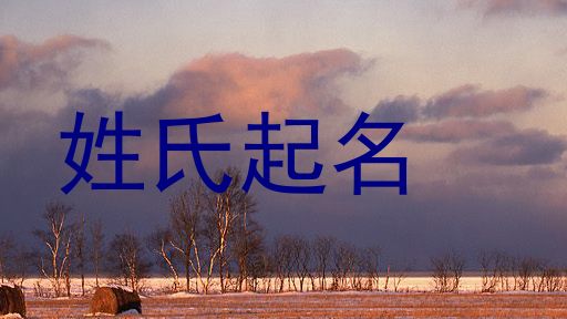 姓氏起名
