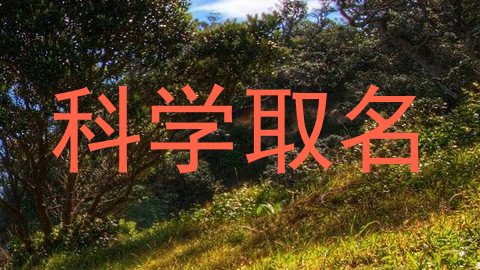 科学取名