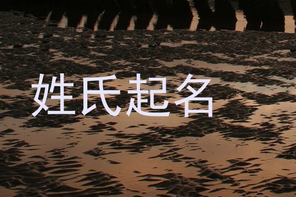 姓氏起名