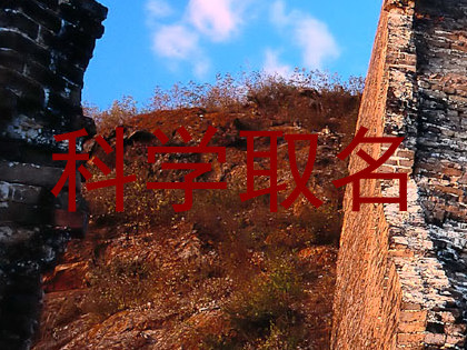 科学取名