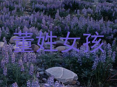 董姓女孩