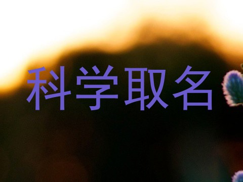 科学取名