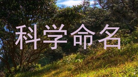 科学命名