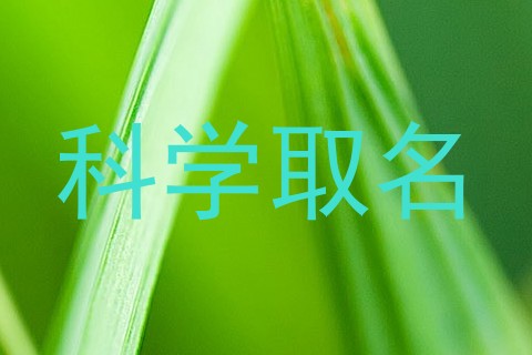 科学取名