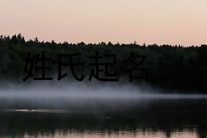 姓氏起名