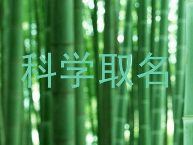 科学取名