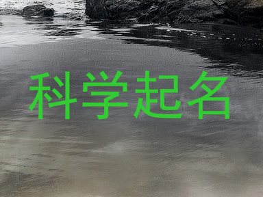 科学起名