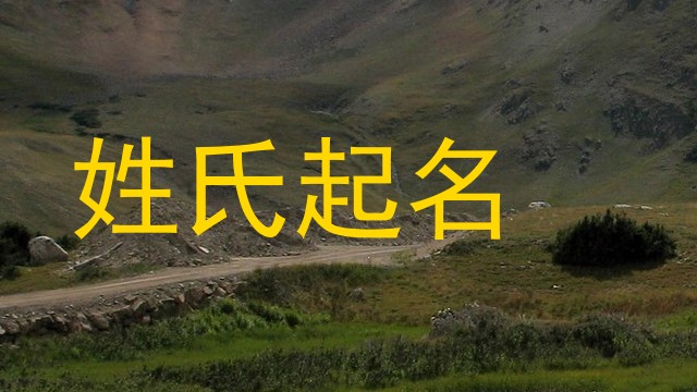 姓氏起名