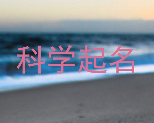 科学起名