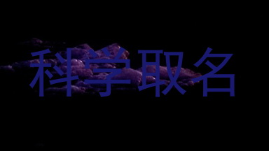 科学取名
