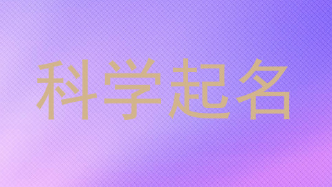 科学起名