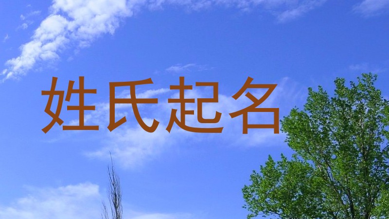 姓氏起名
