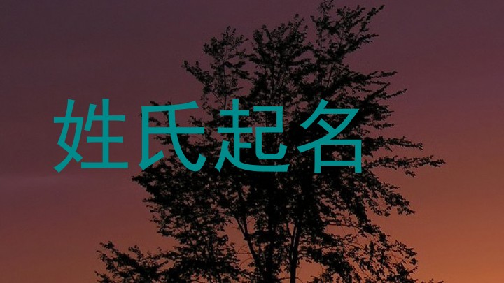 肖姓女孩名字