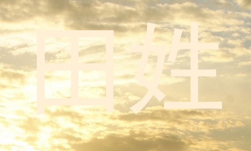 田姓