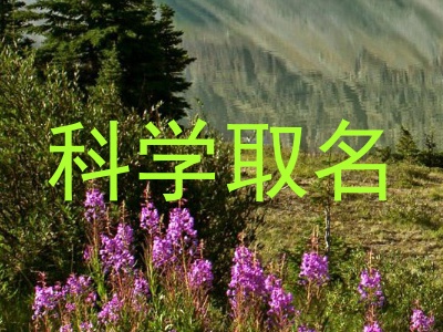 科学取名