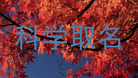 科学取名