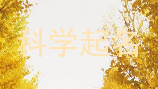 科学起名