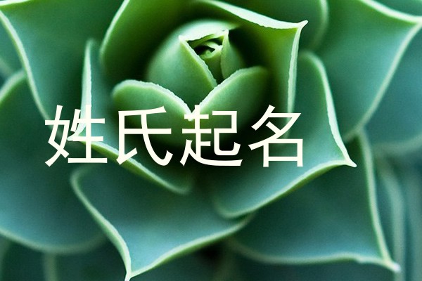姓氏起名