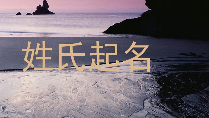 姓氏起名