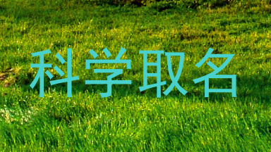 科学取名