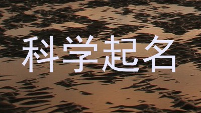 科学起名