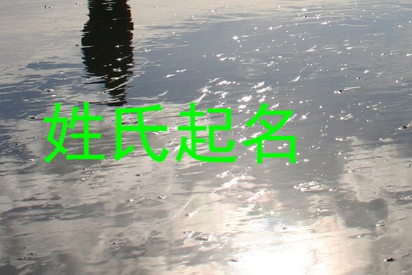 姓氏起名