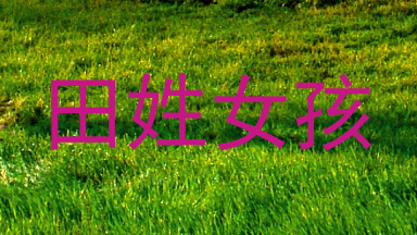 田姓女孩