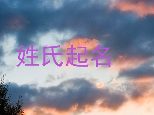 姓氏起名
