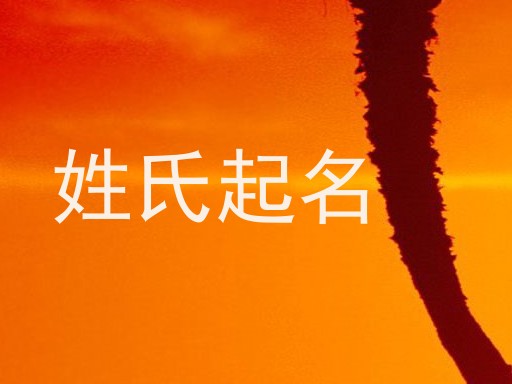 姓氏起名